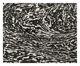 Foam Lines