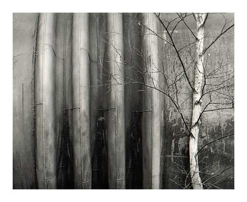 Birch, 2000