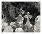 Graveyard, 1999