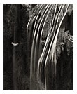 Wasserfall