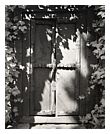 Old Door