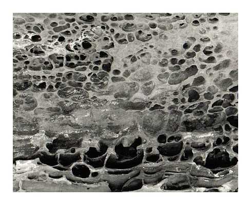 Erosion, 2000